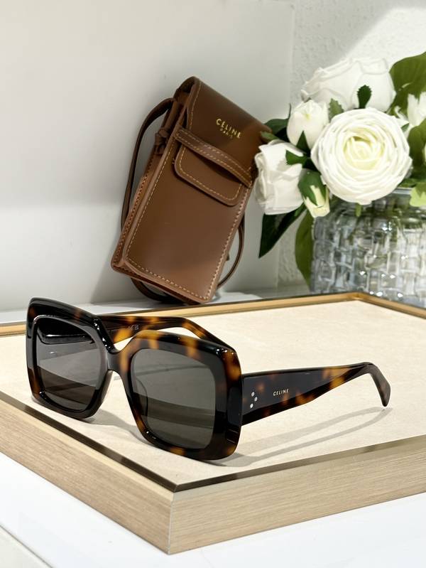 Celine Sunglasses Top Quality CES01124