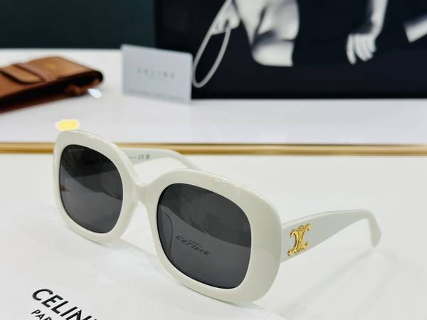 Celine Sunglasses Top Quality CES01133