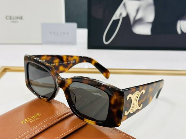 Celine Sunglasses Top Quality CES01143
