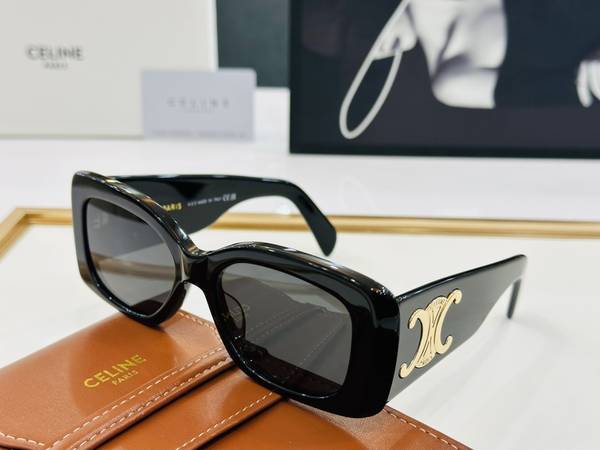 Celine Sunglasses Top Quality CES01144