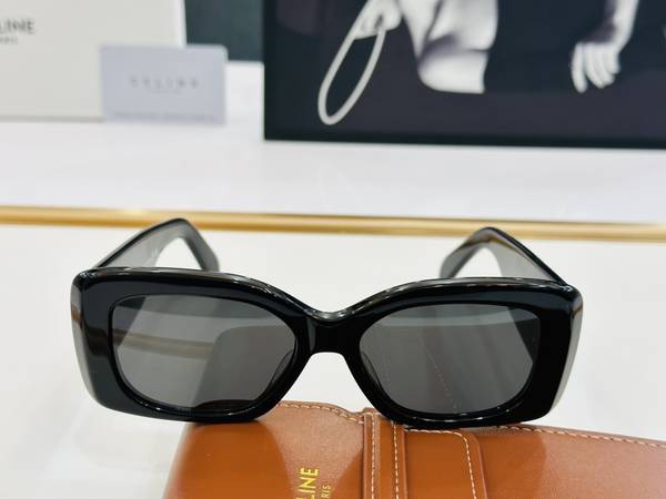 Celine Sunglasses Top Quality CES01146
