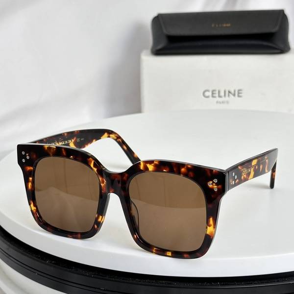 Celine Sunglasses Top Quality CES01163