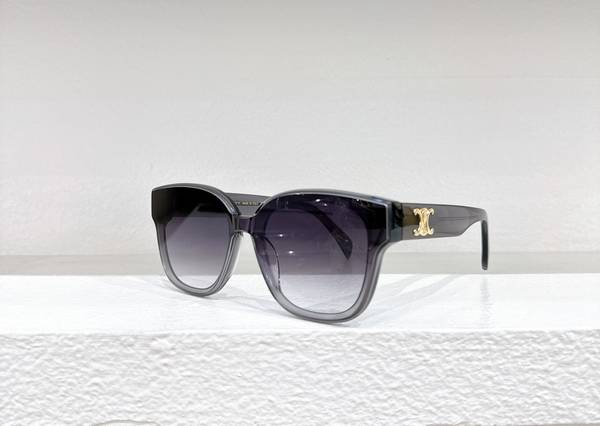 Celine Sunglasses Top Quality CES01189