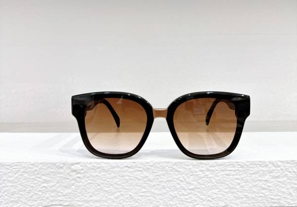 Celine Sunglasses Top Quality CES01192
