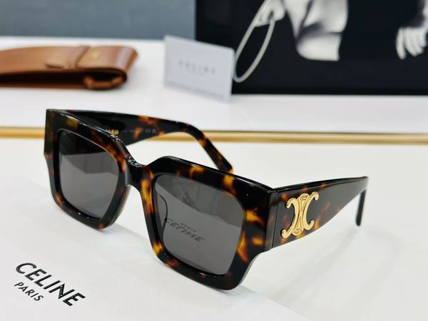 Celine Sunglasses Top Quality CES01208