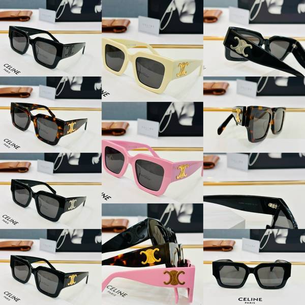Celine Sunglasses Top Quality CES01213