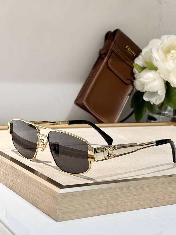 Celine Sunglasses Top Quality CES01230