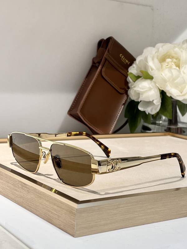 Celine Sunglasses Top Quality CES01231