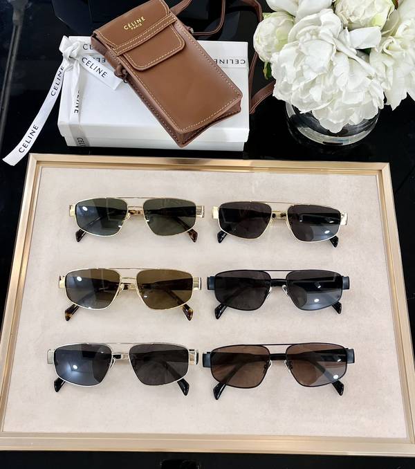 Celine Sunglasses Top Quality CES01234