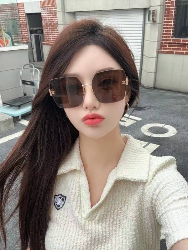 Celine Sunglasses Top Quality CES01261