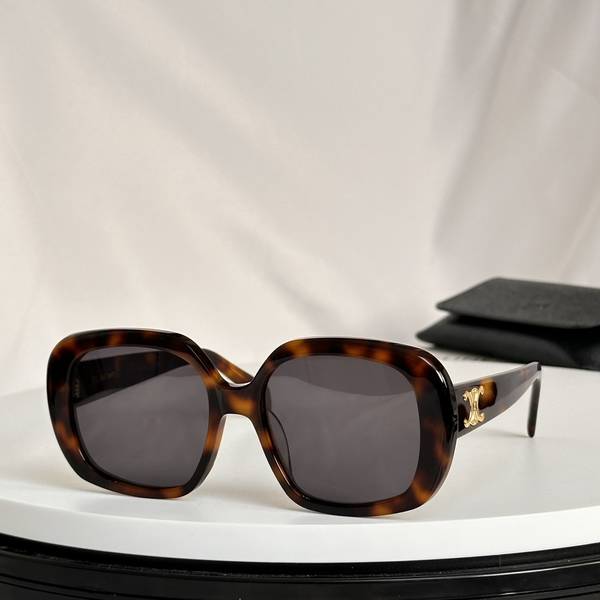 Celine Sunglasses Top Quality CES01280