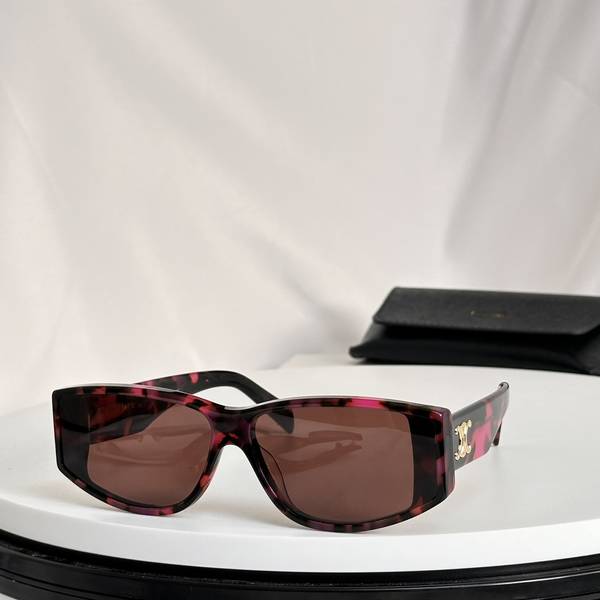Celine Sunglasses Top Quality CES01286