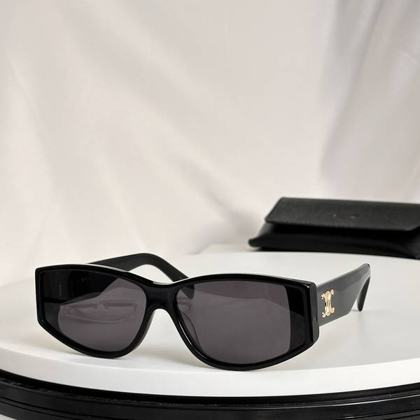 Celine Sunglasses Top Quality CES01287