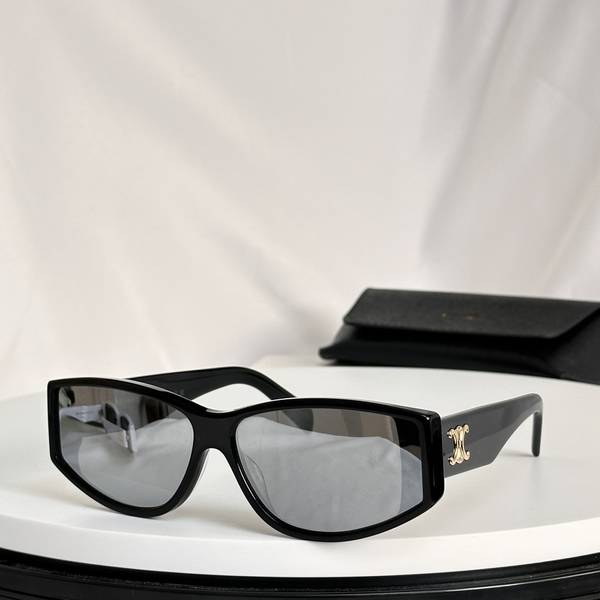 Celine Sunglasses Top Quality CES01288