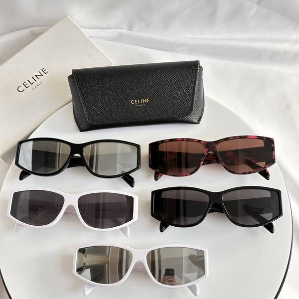 Celine Sunglasses Top Quality CES01292