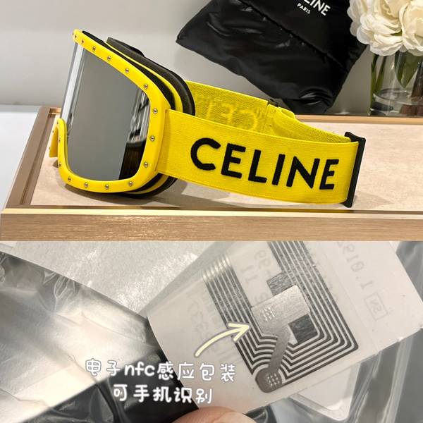 Celine Sunglasses Top Quality CES01299