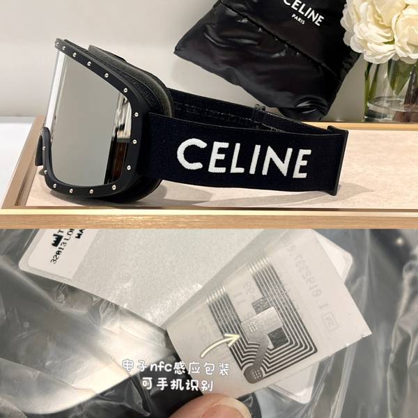 Celine Sunglasses Top Quality CES01300