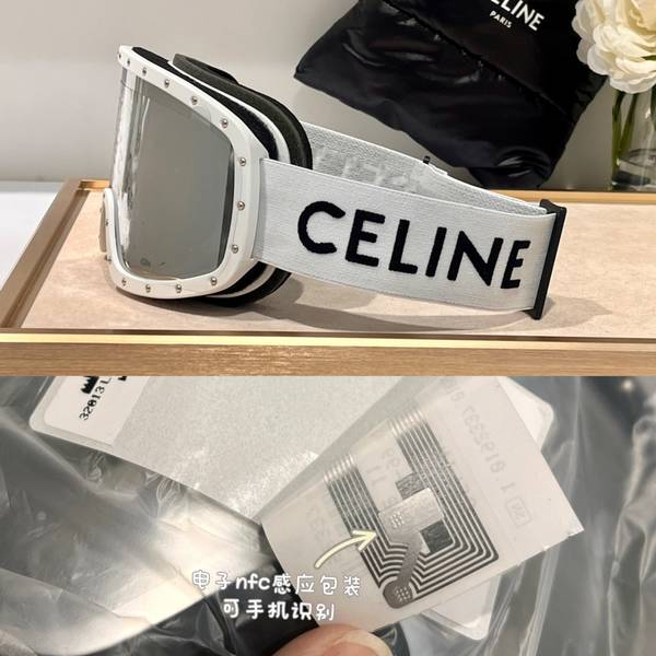 Celine Sunglasses Top Quality CES01301