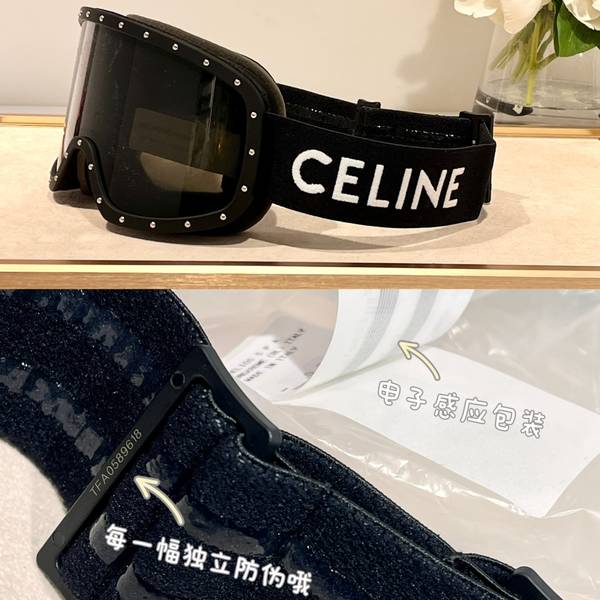Celine Sunglasses Top Quality CES01304