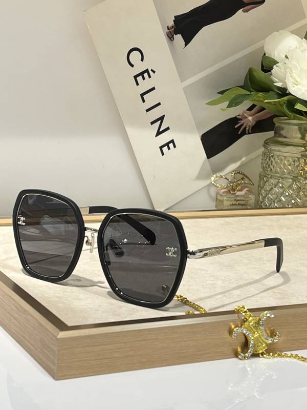 Celine Sunglasses Top Quality CES01309