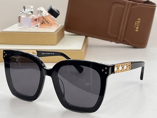 Celine Sunglasses Top Quality CES01313