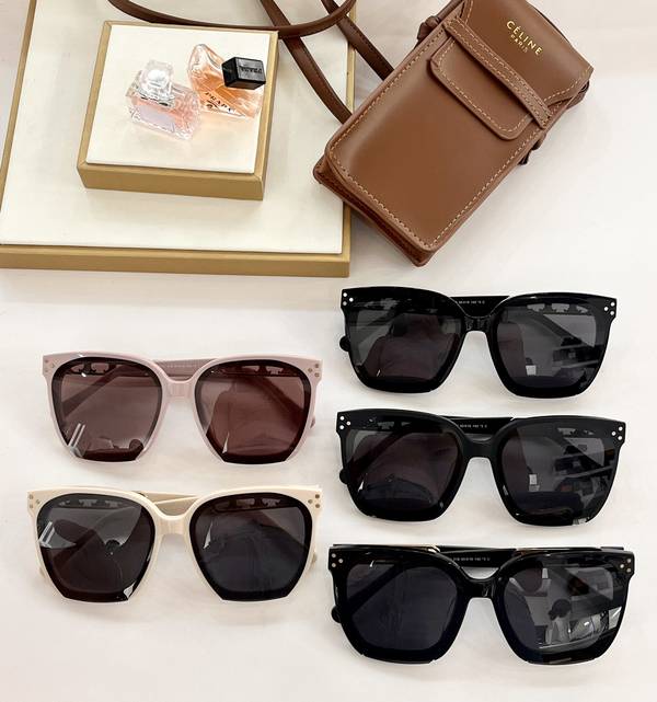 Celine Sunglasses Top Quality CES01318