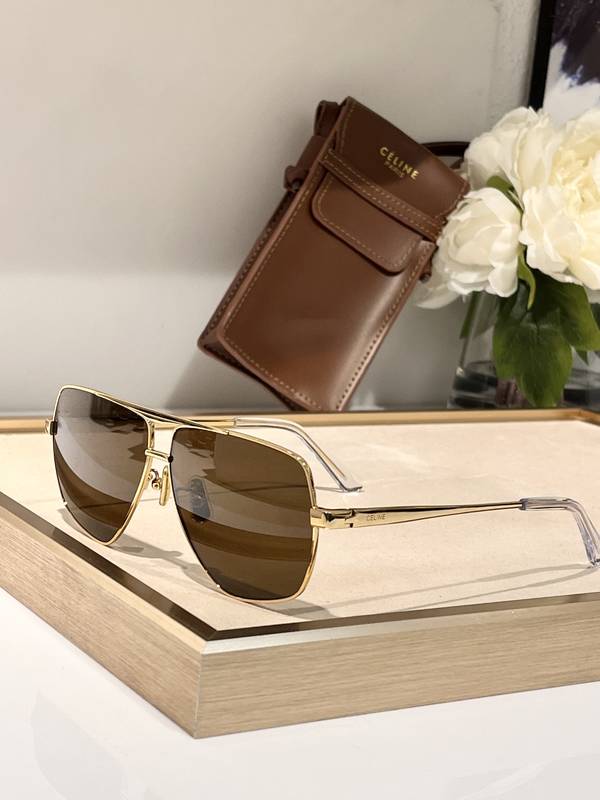 Celine Sunglasses Top Quality CES01355