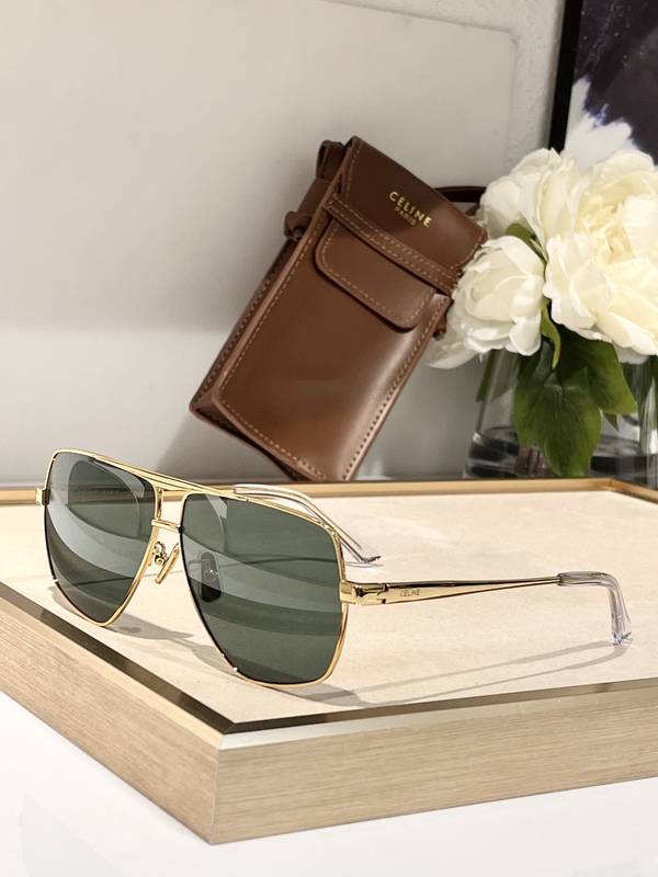 Celine Sunglasses Top Quality CES01357