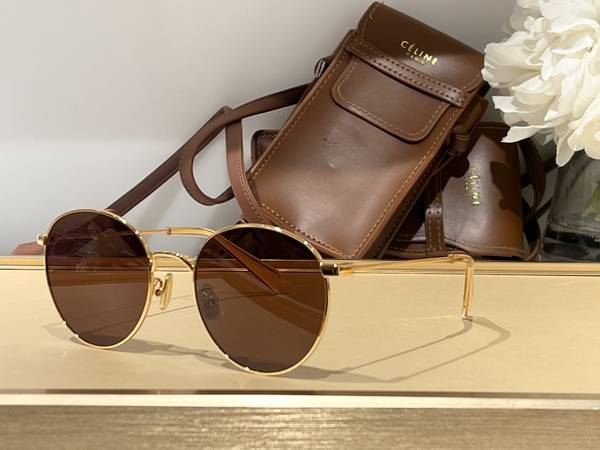 Celine Sunglasses Top Quality CES01361