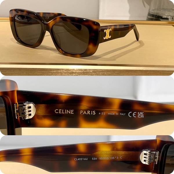 Celine Sunglasses Top Quality CES01379