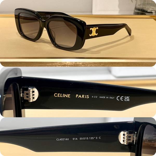 Celine Sunglasses Top Quality CES01382