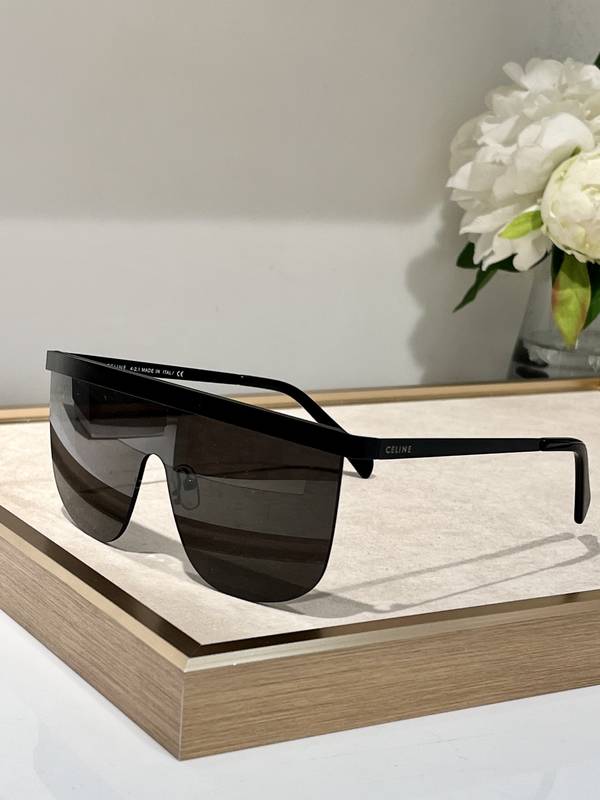 Celine Sunglasses Top Quality CES01393