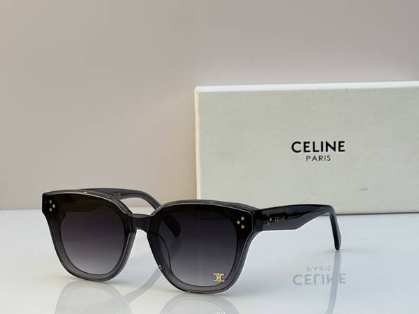 Celine Sunglasses Top Quality CES01431