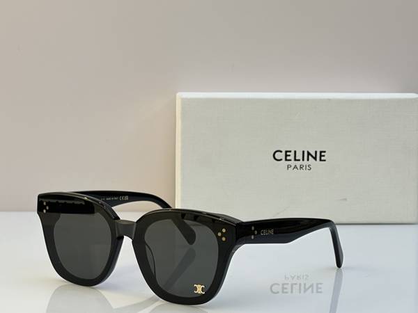 Celine Sunglasses Top Quality CES01432