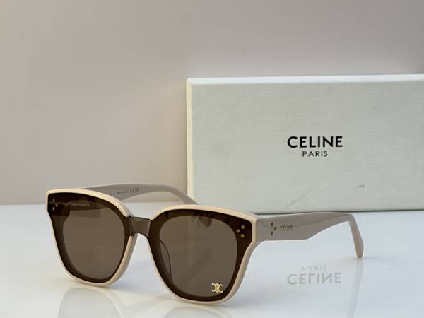 Celine Sunglasses Top Quality CES01434