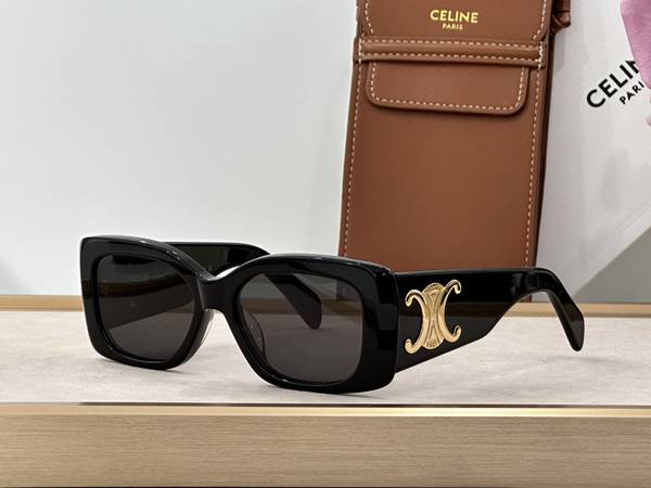 Celine Sunglasses Top Quality CES01435