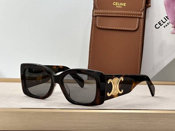 Celine Sunglasses Top Quality CES01436