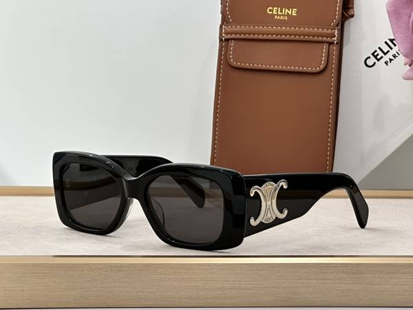 Celine Sunglasses Top Quality CES01437