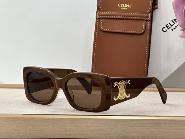 Celine Sunglasses Top Quality CES01439