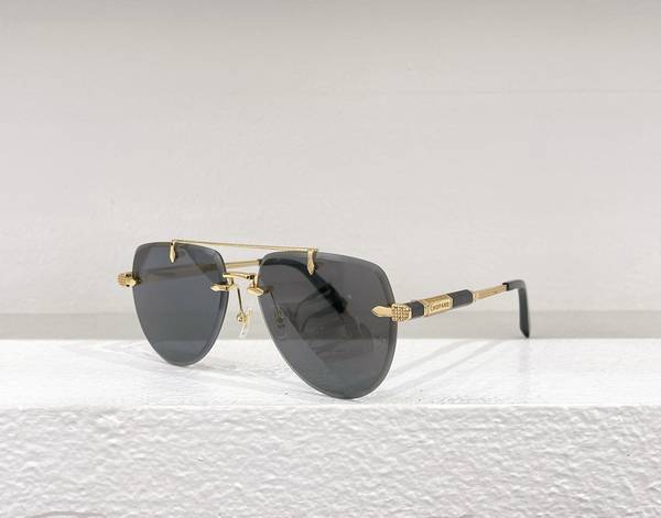 Chopard Sunglasses Top Quality COS00110
