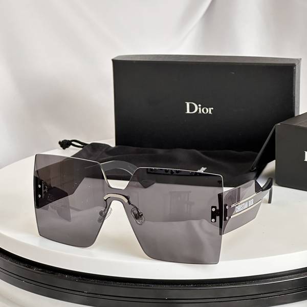 Dior Sunglasses Top Quality DIS02999