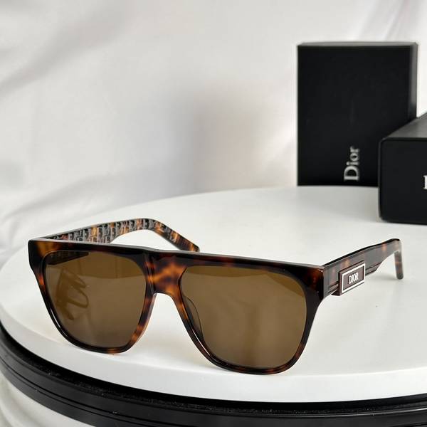Dior Sunglasses Top Quality DIS03030