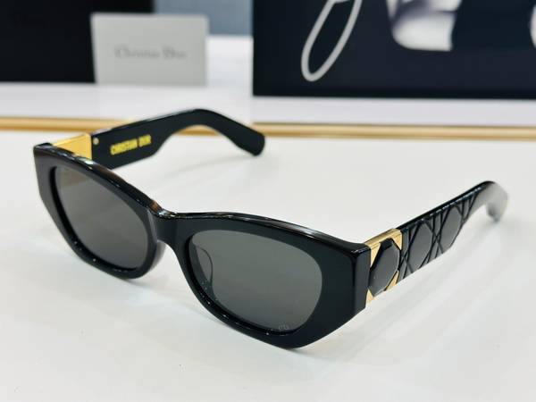 Dior Sunglasses Top Quality DIS03044