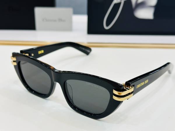 Dior Sunglasses Top Quality DIS03049