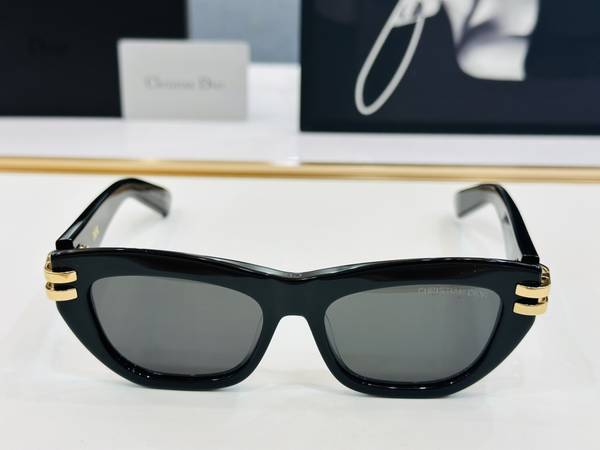 Dior Sunglasses Top Quality DIS03053