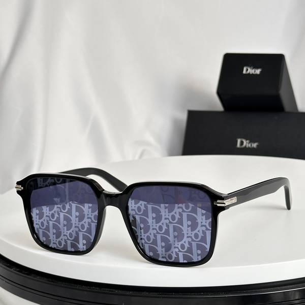 Dior Sunglasses Top Quality DIS03101