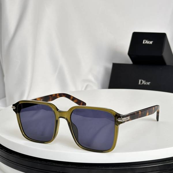 Dior Sunglasses Top Quality DIS03104