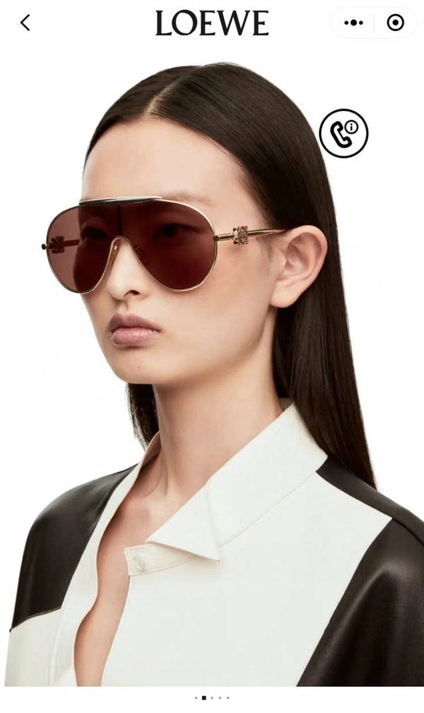 Loewe Sunglasses Top Quality LOS00503