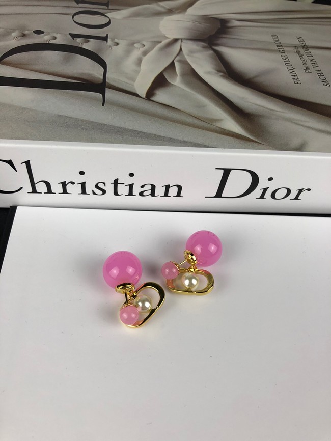 Dior Earrings CE14154