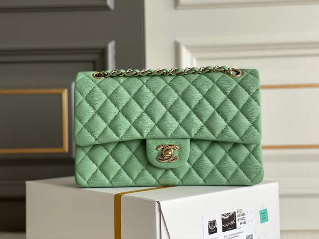 CHANEL CLASSIC 11.12 HANDBAG AS01112 GREEN&GOLD Metal